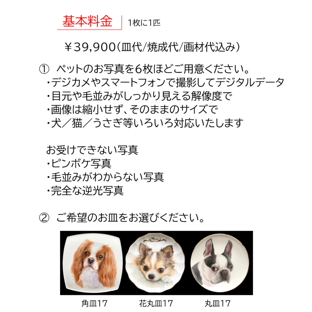 基本料金